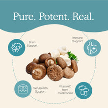 Load image into Gallery viewer, Real Mushrooms Vitamin D from Organic Mushrooms by Real Mushrooms