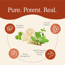 Load image into Gallery viewer, Real Mushrooms RealClarity - Lion's Mane, Ashwagandha, Rhodiola and Bacopa by Real Mushrooms