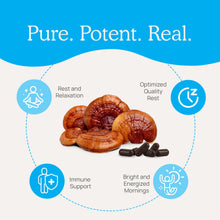 Load image into Gallery viewer, Real Mushrooms RealRest - Reishi, Valerian and Lemon Balm by Real Mushrooms