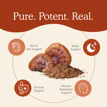 Load image into Gallery viewer, Real Mushrooms Organic Reishi Mushroom Powder – Bulk Extract by Real Mushrooms