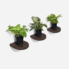 Load image into Gallery viewer, Formr Rainbow plant shelf