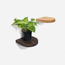 Load image into Gallery viewer, Formr Rainbow plant shelf
