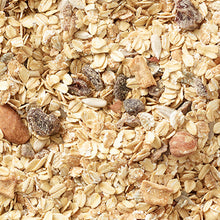 Load image into Gallery viewer, Grandy Organics Swiss Style Muesli