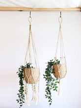 Load image into Gallery viewer, KORISSA Plant Hanger - Fiora
