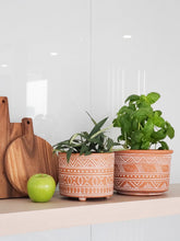 Load image into Gallery viewer, KORISSA Hand Etched Terracotta Pot - Small