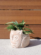 Load image into Gallery viewer, KORISSA Terracotta Pot - Horned Owl