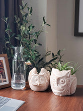 Load image into Gallery viewer, KORISSA Terracotta Pot - Horned Owl