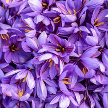 Load image into Gallery viewer, Herati Saffron - Burlap & Barrel
