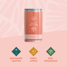 Load image into Gallery viewer, Root Elixirs Sparkling Pineapple Passionfruit Premium Cocktail Mixer Cans - 24 Cans (7.5 oz)