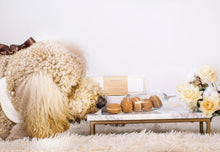 Load image into Gallery viewer, Bonne et Filou Dog Macarons (Box of 6)