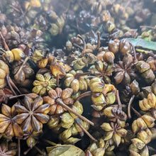 Load image into Gallery viewer, Smoked Star Anise - Burlap & Barrel