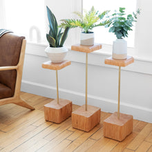 Load image into Gallery viewer, Formr Stem plant holder