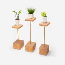 Load image into Gallery viewer, Formr Stem plant holder
