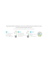 Load image into Gallery viewer, Bumble Plants Sustee Aquameter Plant Moisture Sensor
