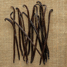 Load image into Gallery viewer, Nyanza Vanilla Extract Kit - Burlap & Barrel