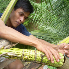 Load image into Gallery viewer, Coconut Sugar (Indonesia) - Burlap & Barrel