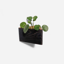 Load image into Gallery viewer, Formr Triangle self-watering, wall-mounted planter