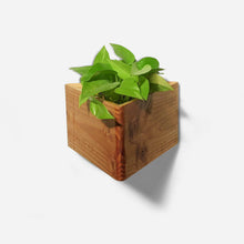 Load image into Gallery viewer, Formr Triangle self-watering, wall-mounted planter