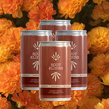 Load image into Gallery viewer, Root Elixirs Sparkling Spiced Apple Premium Cocktail Mixer *Limited Edition and Infusion Kit - 24 Cans (7.5 oz)
