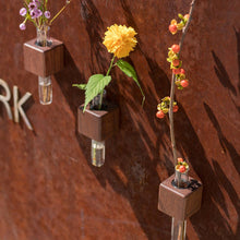 Load image into Gallery viewer, Bumble Plants VICE Single Magnetic Cube Propagation Vase