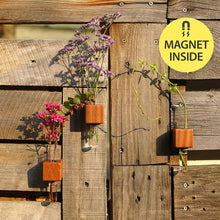 Load image into Gallery viewer, Bumble Plants VICE Single Magnetic Cube Propagation Vase