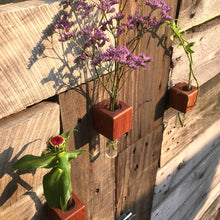Load image into Gallery viewer, Bumble Plants VICE Single Magnetic Cube Propagation Vase