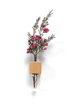 Load image into Gallery viewer, Bumble Plants VICE Single Magnetic Cube Propagation Vase