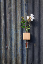 Load image into Gallery viewer, Bumble Plants VICE Single Magnetic Cube Propagation Vase