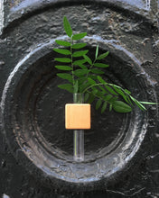 Load image into Gallery viewer, Bumble Plants VICE Single Magnetic Cube Propagation Vase