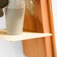 Load image into Gallery viewer, Formr Wallflower plant shelf