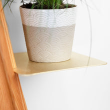 Load image into Gallery viewer, Formr Wallflower plant shelf