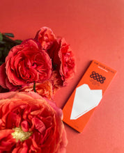 Load image into Gallery viewer, ANTIDOTE CHOCOLATE XOCHI: RAW 100% CACAO + DATES - 12 Bars