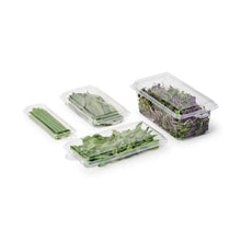 Load image into Gallery viewer, 0.5 oz. Top Seal Hanging Fresh Herb & Microgreen Package (0321)