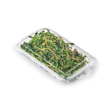 Load image into Gallery viewer, 0.5 oz. Top Seal Hanging Fresh Herb & Microgreen Package (0321)