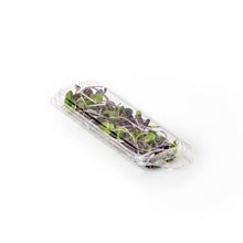 Load image into Gallery viewer, 0.25 oz. Hanging Fresh Herb & Microgreen Package (0325)