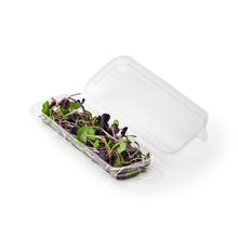 Load image into Gallery viewer, 0.25 oz. Hanging Fresh Herb & Microgreen Package (0325)
