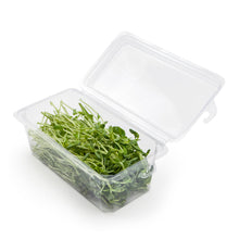 Load image into Gallery viewer, 2 - 3 oz. Hanging Herb or Microgreen Package (0412)
