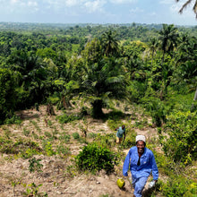 Load image into Gallery viewer, Farmers in Zanzibar Forest Farm