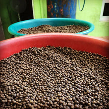 Load image into Gallery viewer, Allspice Berries - Burlap & Barrel Single Origin Spices