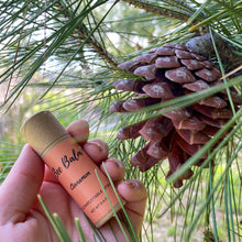 Load image into Gallery viewer, Bee Balm Cinnamon Lip Balm