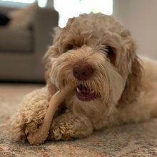 Load image into Gallery viewer, The Better Bone Natural Dog Bone BetterBone TOUGH - Durable All-Natural, Food-Grade, No Nylon, Non-Toxic, Puppy, Dog Chews - For Aggressive Chewers.