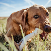Load image into Gallery viewer, The Better Bone Natural Dog Bone BetterBone TOUGH - Durable All-Natural, Food-Grade, No Nylon, Non-Toxic, Puppy, Dog Chews - For Aggressive Chewers.