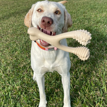 Load image into Gallery viewer, The Better Bone Natural Dog Bone BetterBone CLASSIC - All Natural, Non-Toxic, Safer on Teeth, Soft, Puppy, Dog Chew-NYLON FREE