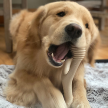 Load image into Gallery viewer, The Better Bone Natural Dog Bone BetterBone TOUGH - Durable All-Natural, Food-Grade, No Nylon, Non-Toxic, Puppy, Dog Chews - For Aggressive Chewers.