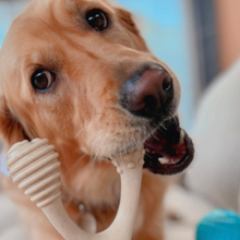 Load image into Gallery viewer, The Better Bone Natural Dog Bone BetterBone CLASSIC - All Natural, Non-Toxic, Safer on Teeth, Soft, Puppy, Dog Chew-NYLON FREE