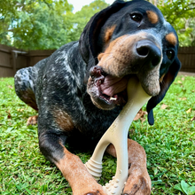 Load image into Gallery viewer, The Better Bone Natural Dog Bone BetterBone CLASSIC - All Natural, Non-Toxic, Safer on Teeth, Soft, Puppy, Dog Chew-NYLON FREE