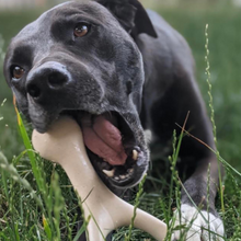 Load image into Gallery viewer, The Better Bone Natural Dog Bone BetterBone TOUGH - Durable All-Natural, Food-Grade, No Nylon, Non-Toxic, Puppy, Dog Chews - For Aggressive Chewers.