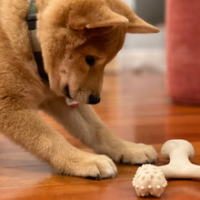 Load image into Gallery viewer, The Better Bone Natural Dog Bone BetterBone CLASSIC - All Natural, Non-Toxic, Safer on Teeth, Soft, Puppy, Dog Chew-NYLON FREE