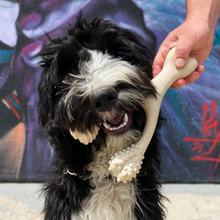 Load image into Gallery viewer, The Better Bone Natural Dog Bone BetterBone CLASSIC - All Natural, Non-Toxic, Safer on Teeth, Soft, Puppy, Dog Chew-NYLON FREE