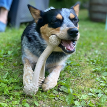 Load image into Gallery viewer, The Better Bone Natural Dog Bone BetterBone CLASSIC - All Natural, Non-Toxic, Safer on Teeth, Soft, Puppy, Dog Chew-NYLON FREE